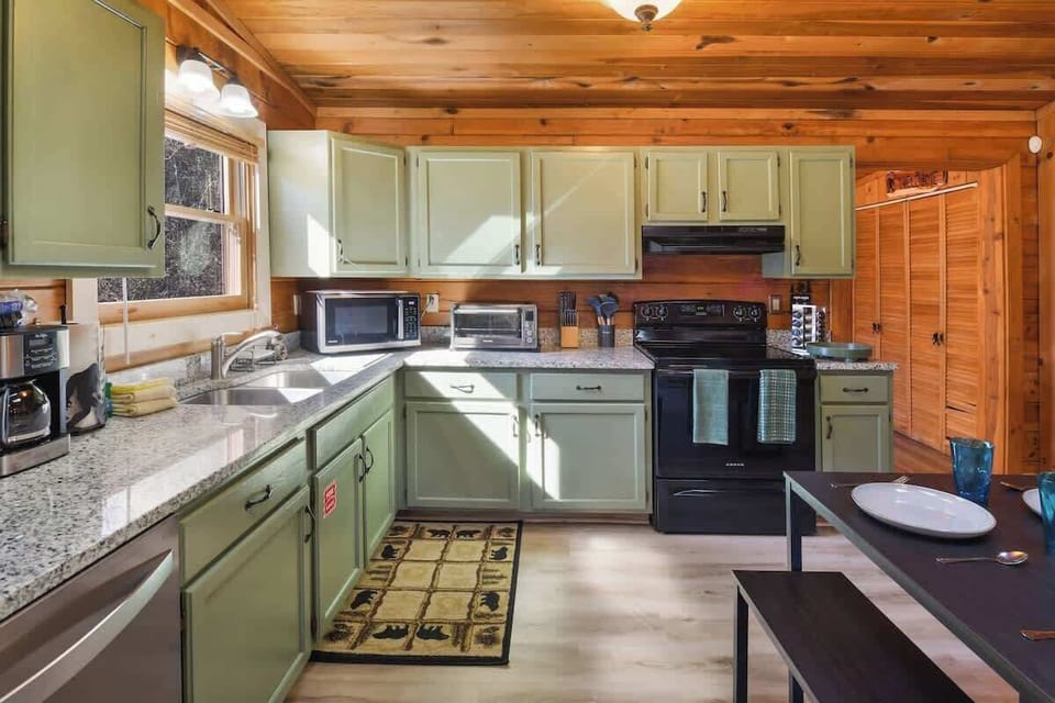 sunlit rustic kitchen with green cabinetry and modern appliances