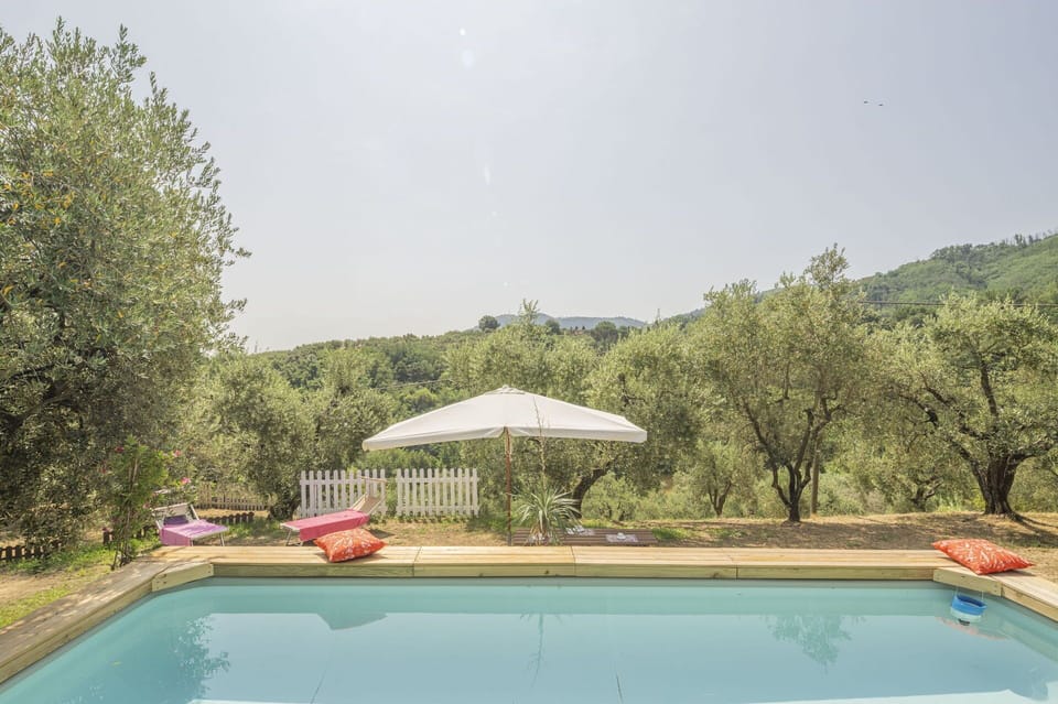 Autumn, Pool, Spring, Summer