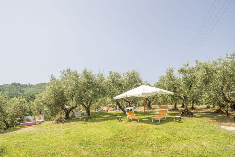 Autumn, Garden, Spring, Summer
