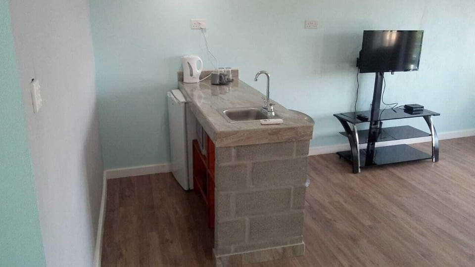 Executive Apartment | Private kitchen | Mini-fridge, microwave, toaster, cleaning supplies