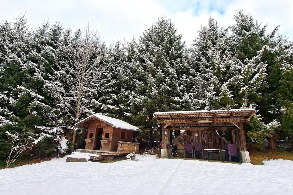 Garden [winter]
