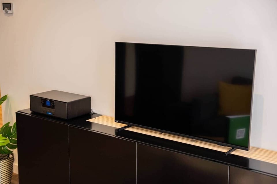 Television