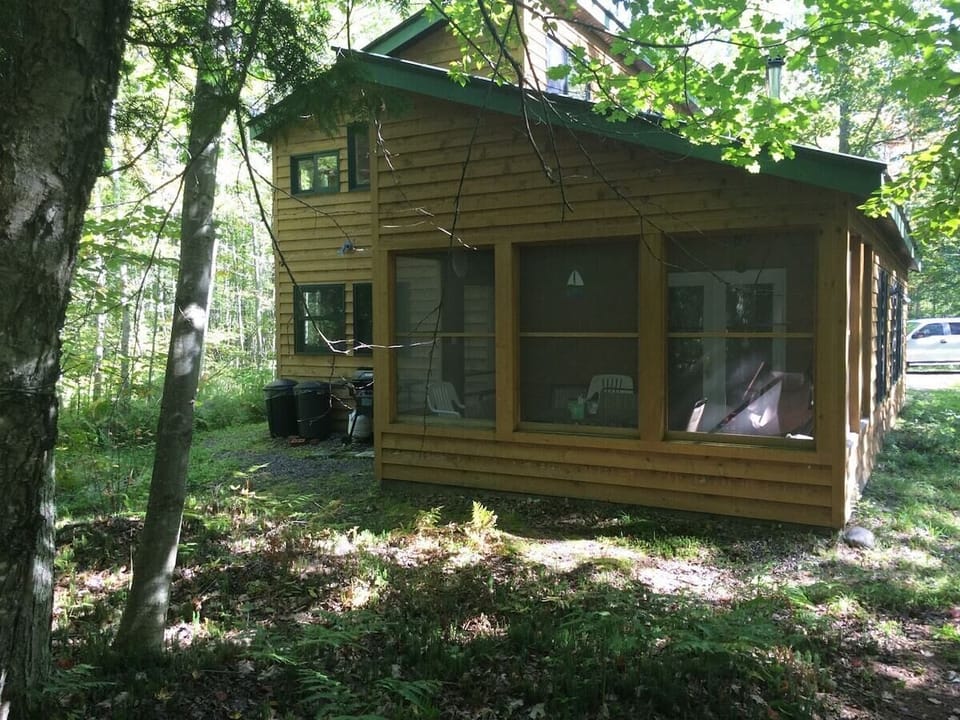 Screen Porch overlooking the woods