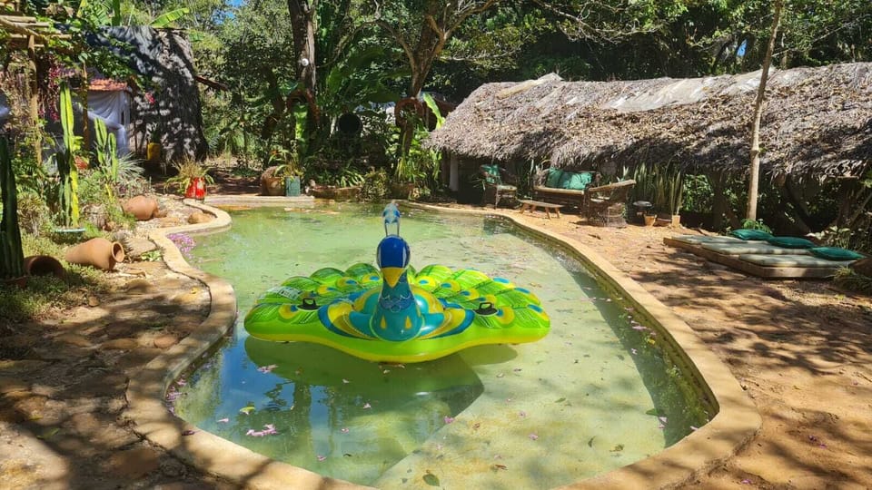 Pool waterfall