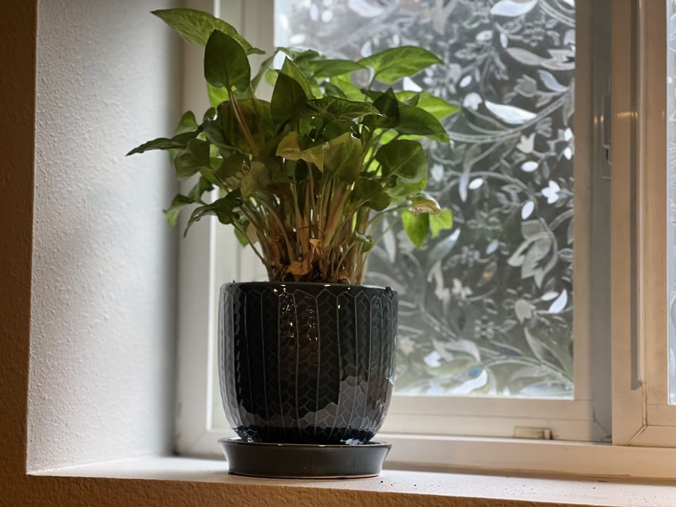 Interior detail