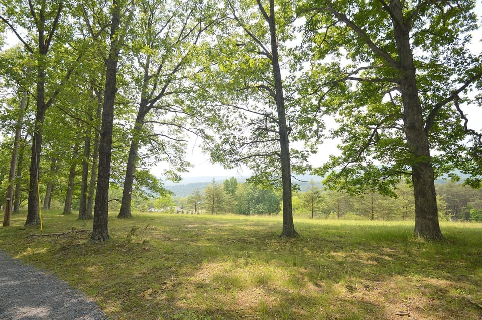 Cabin, Multiple Beds (Black Bear Cabin - The Mountain Retre) | Pool