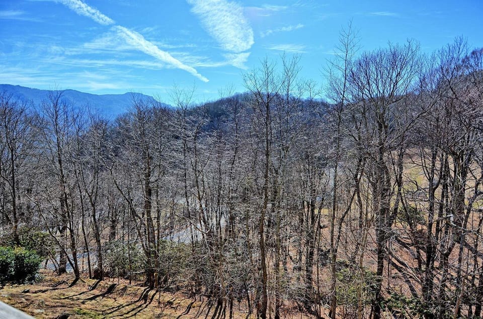 Views from back deck