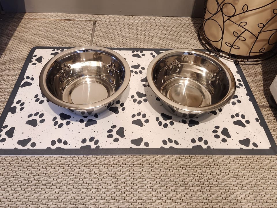 "We really appreciated that the home and town are dog friendly as we were traveling with our senior pup." - Michelle, March 2025