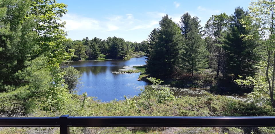 View from room