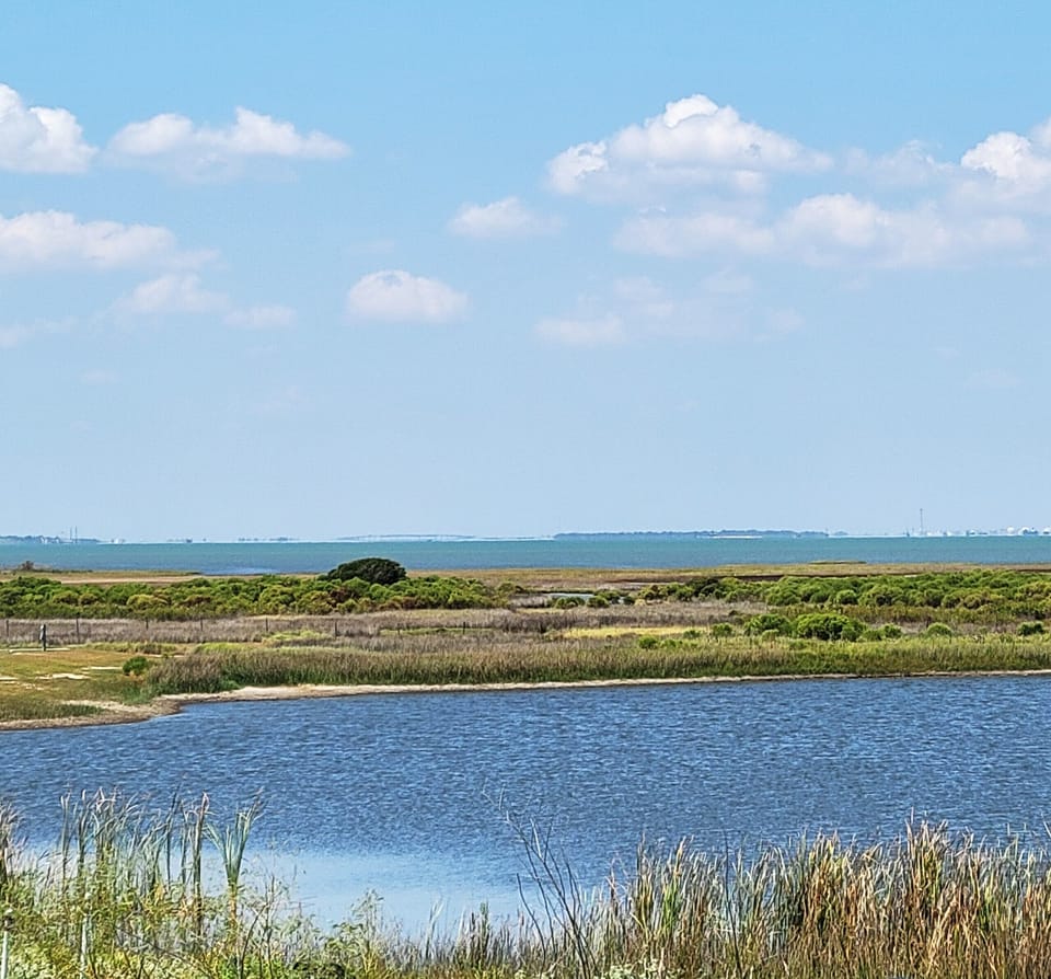 Galveston Bay View from rear patio