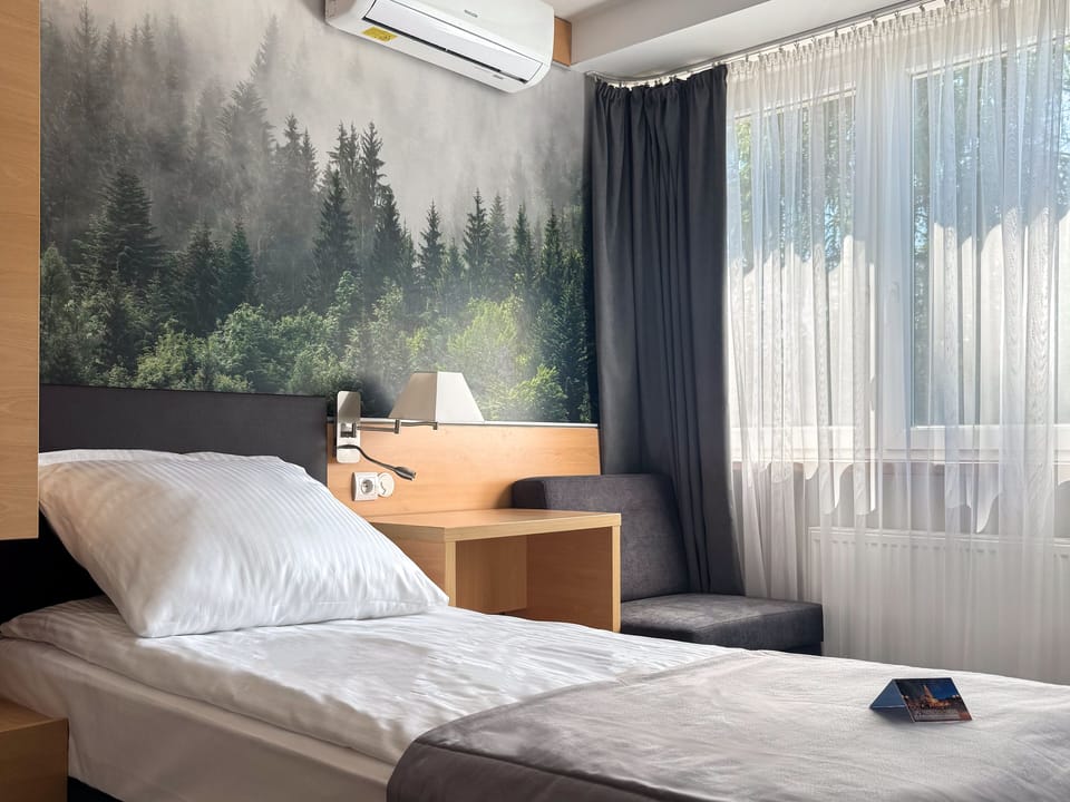 Standard Single Room, Park View | Desk, laptop workspace, cribs (surcharge), WiFi (free)