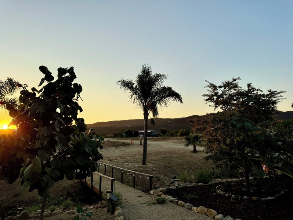 View from property