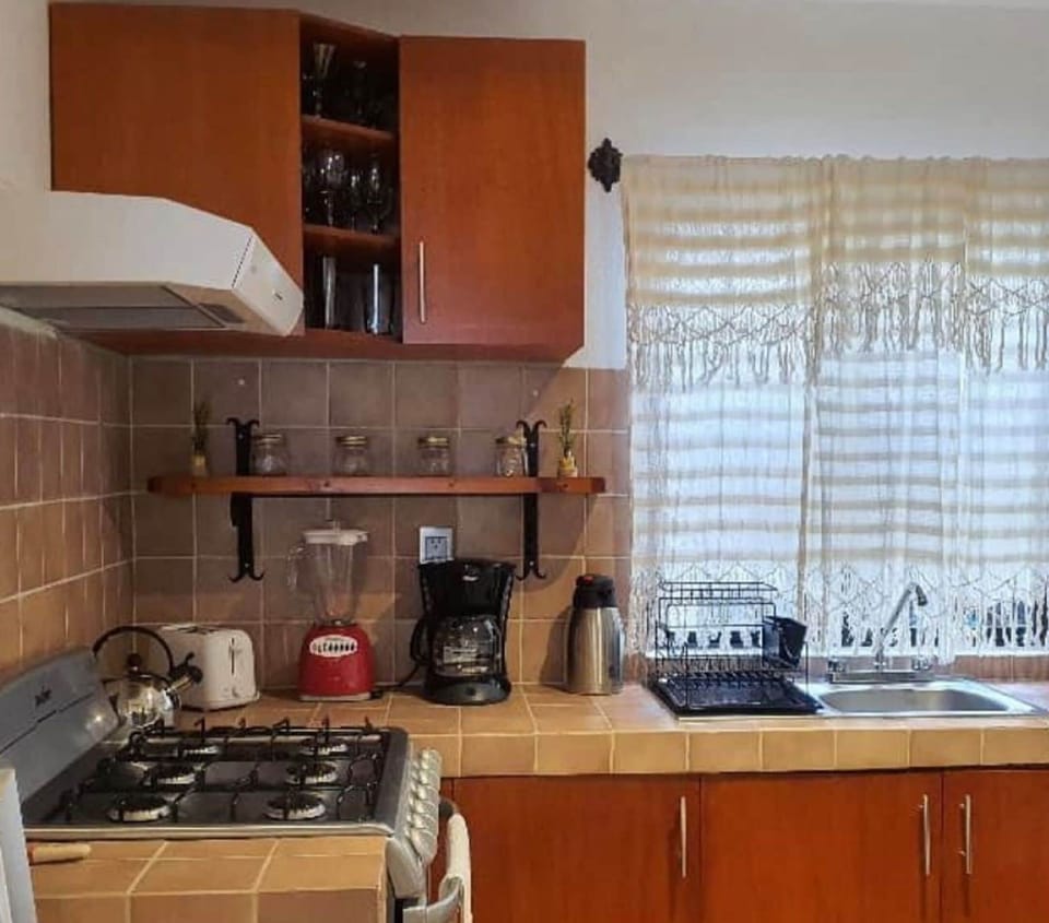 Deluxe House | Private kitchen | Fridge, microwave, oven, dishwasher