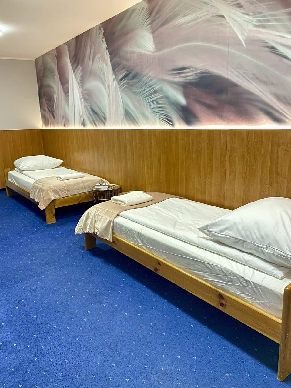 Deluxe Twin Room | Hypo-allergenic bedding, individually decorated, desk, laptop workspace