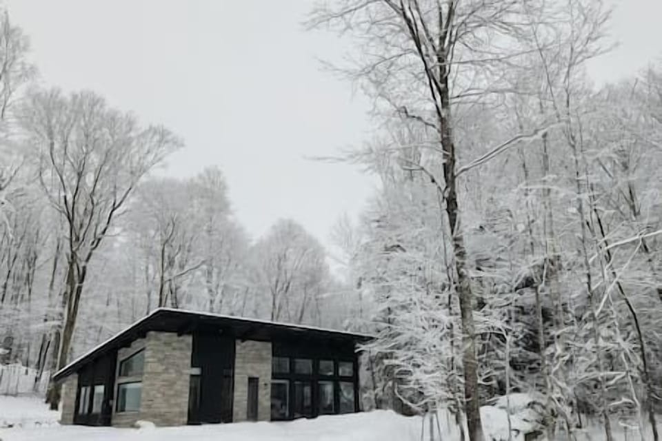 Chalet FEU_Hiver