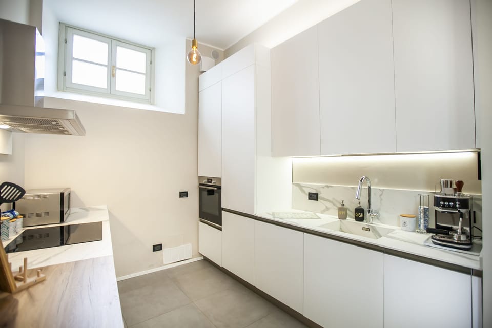 Deluxe Apartment | Private kitchen | Fridge, microwave, oven, stovetop