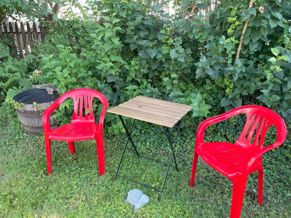 Front Yard