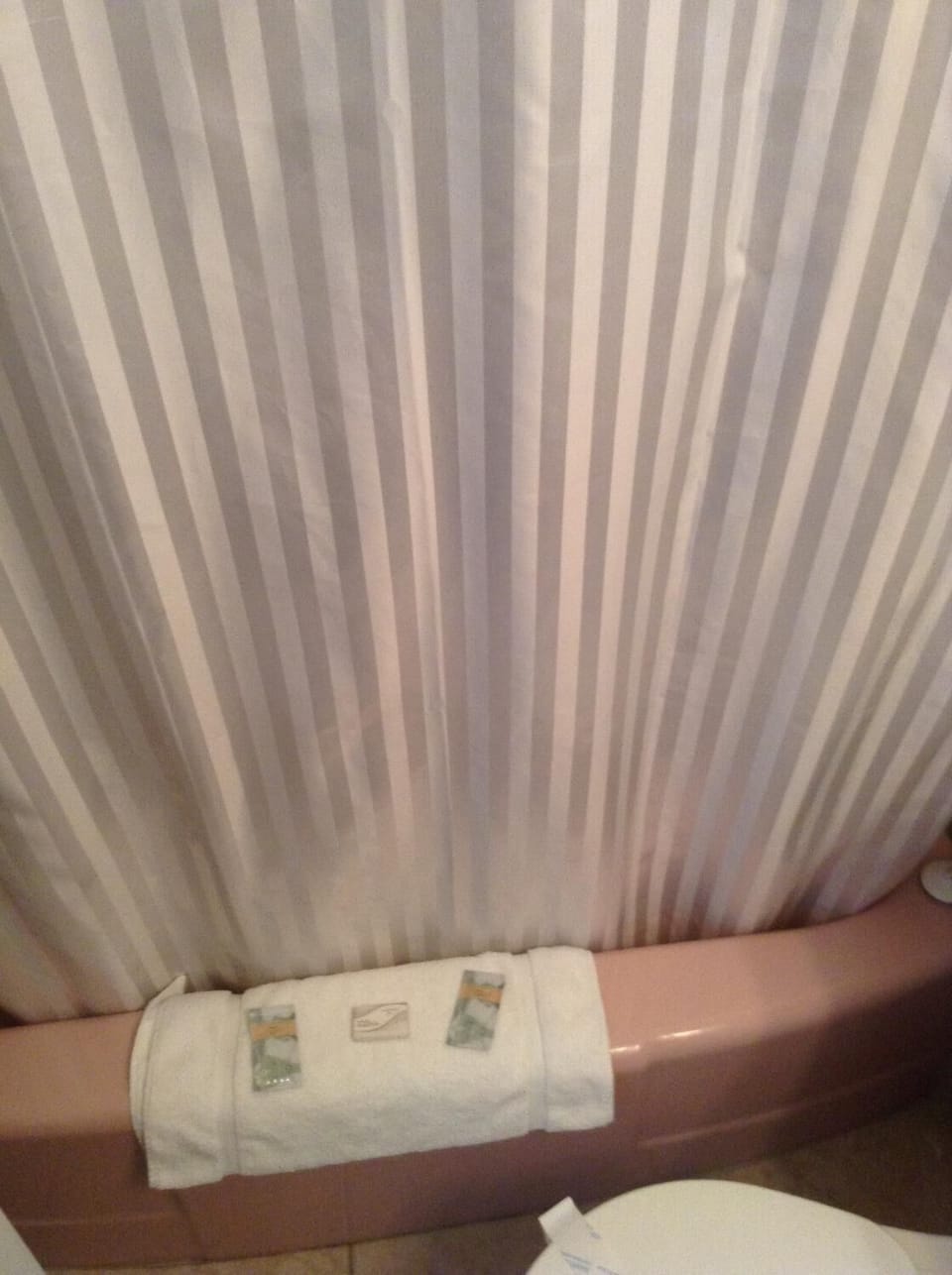 Combined shower/tub, free toiletries, hair dryer, towels
