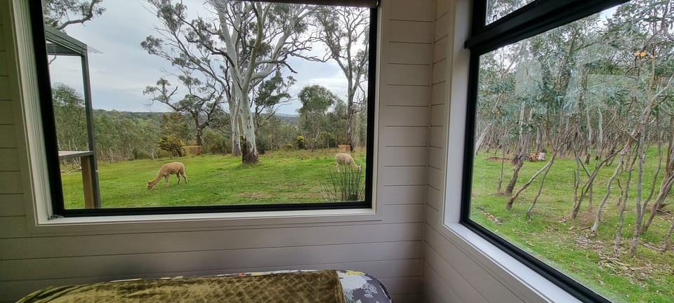 Bedroom vista