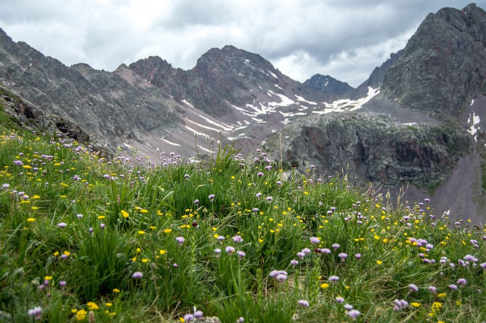Tenmile Basin