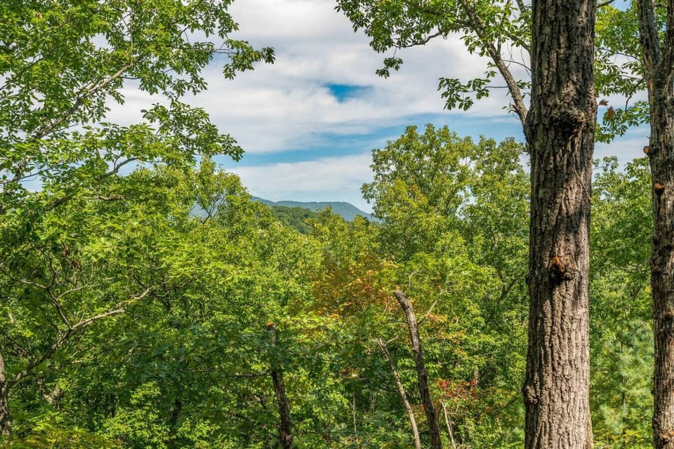 Partial mountain views during summer months when the trees are full.