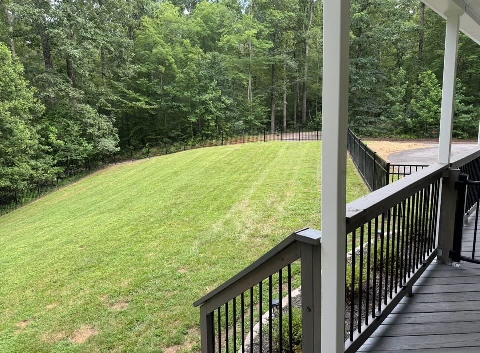 Fully fenced yard, perfect for letting your dogs run and explore.