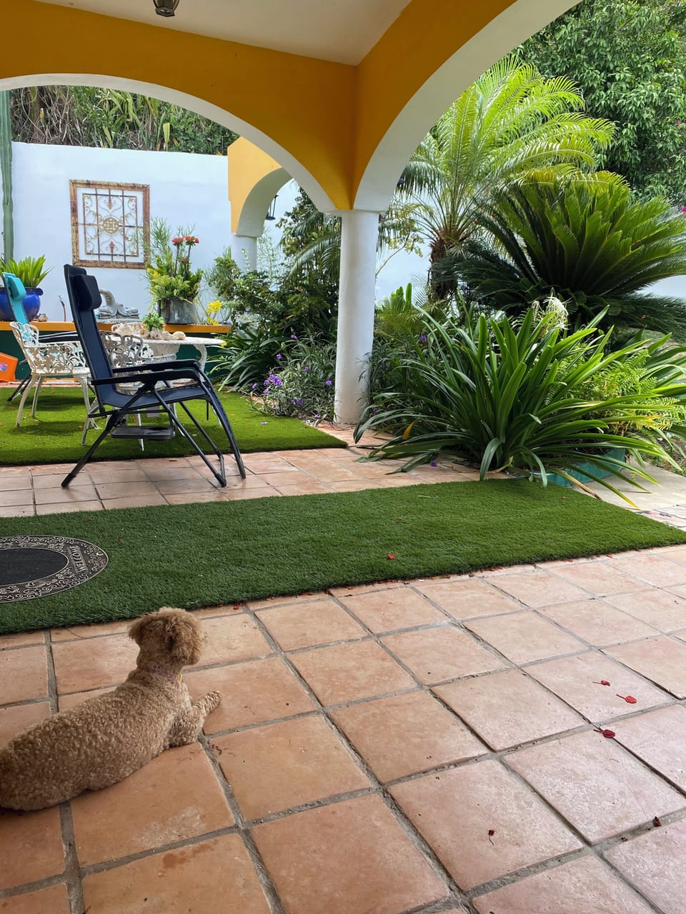 Front Patio