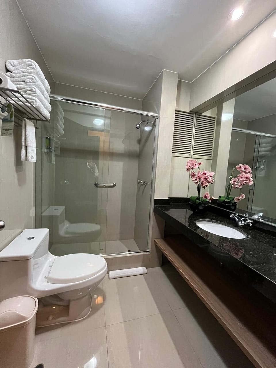 Shower, free toiletries, hair dryer, towels