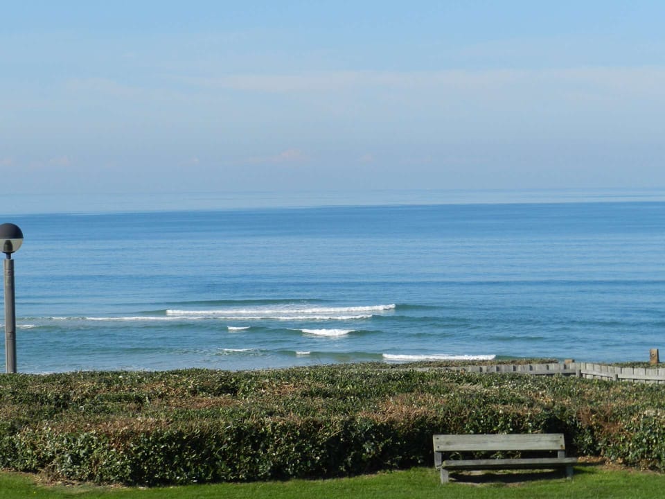 Beach/ocean view