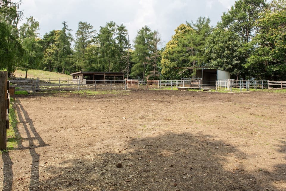 Holiday Park Facilities and Services 