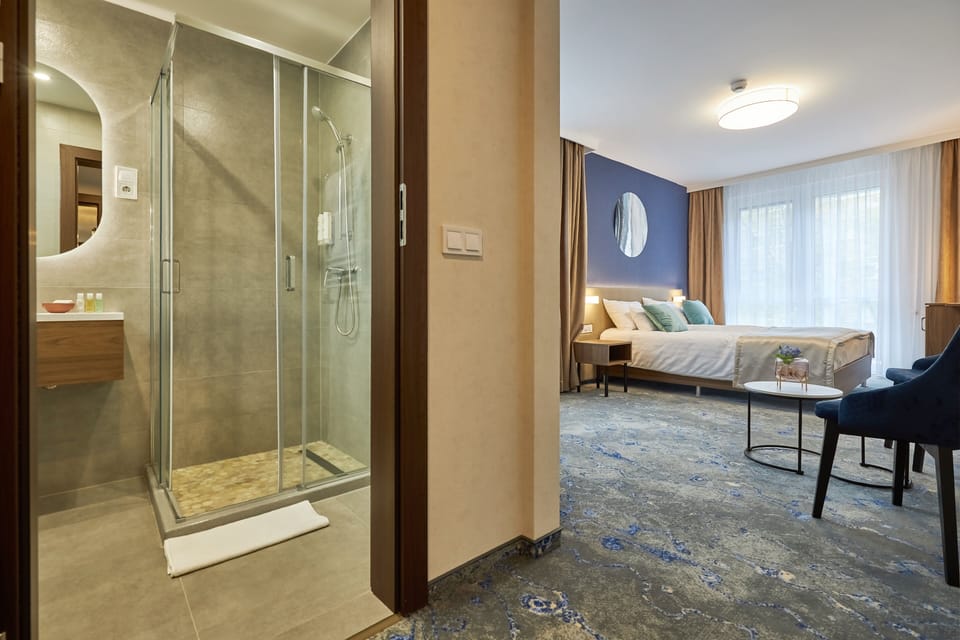 Superior Room | Desk, soundproofing, free WiFi