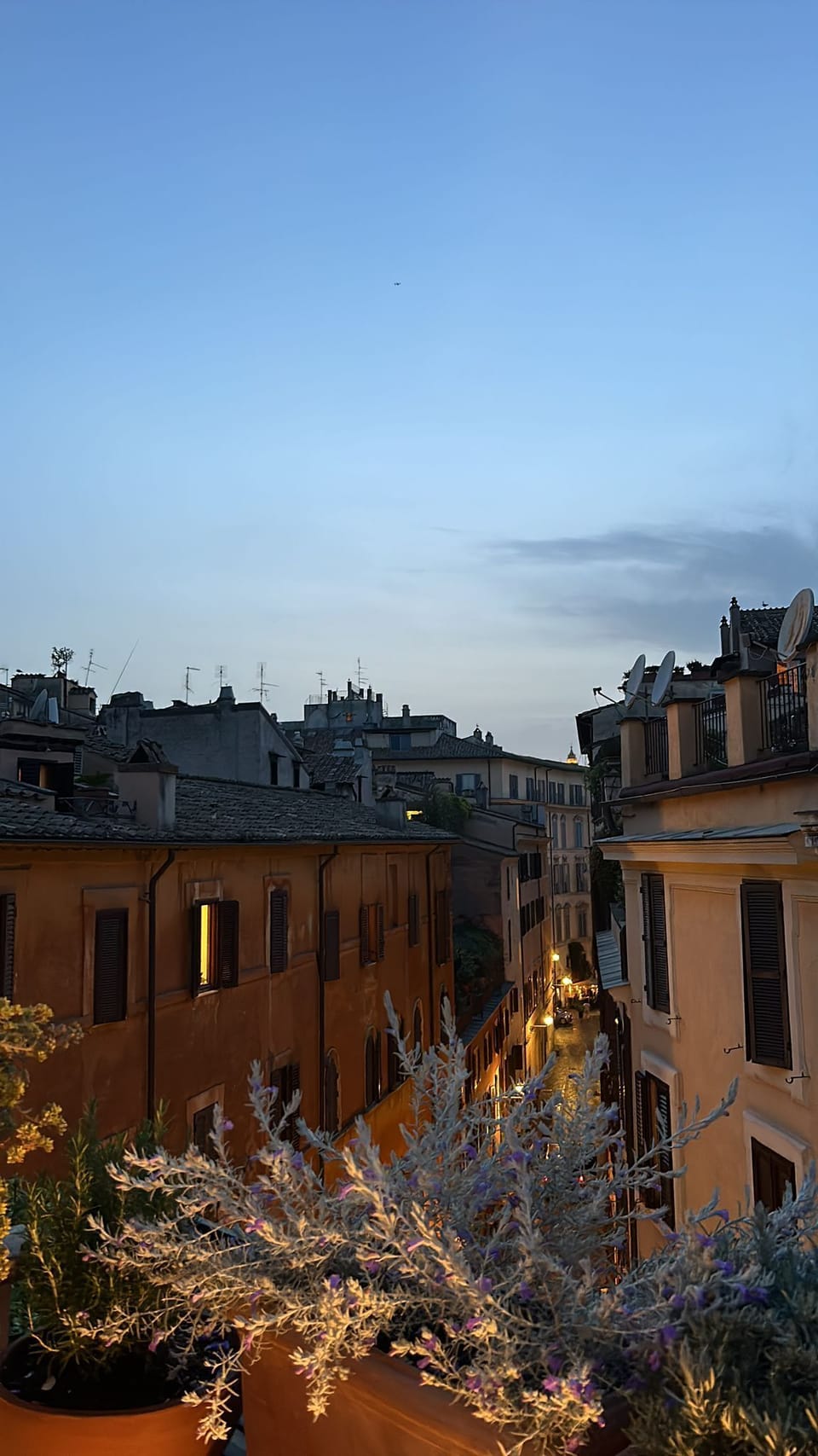 View from property