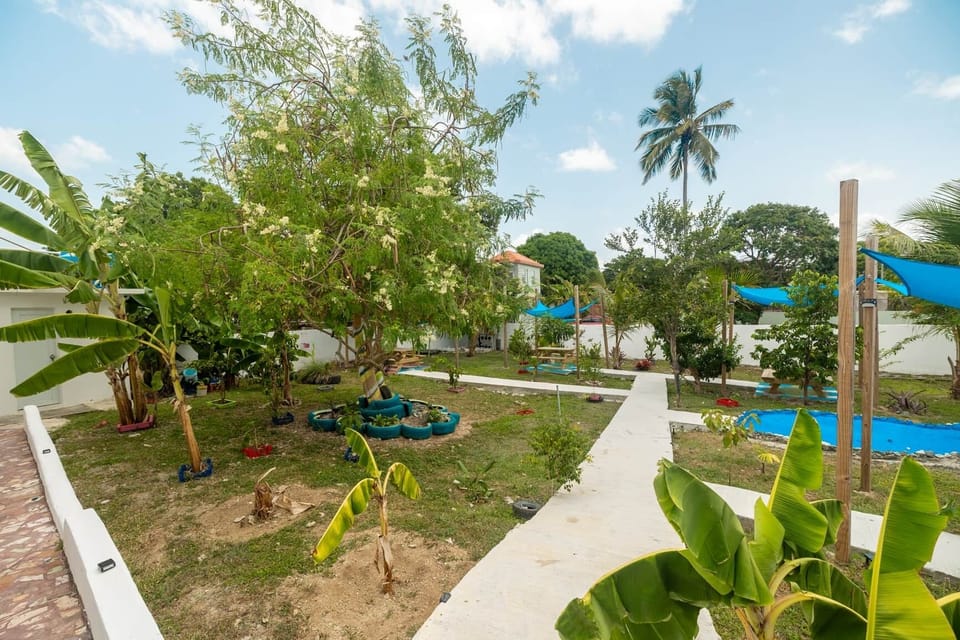 Garden Access with local plantes, shades and benches. 
