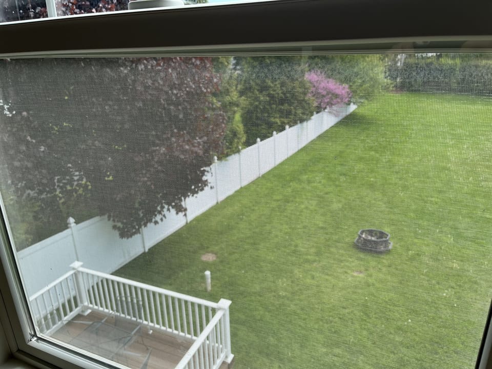 Bedroom View