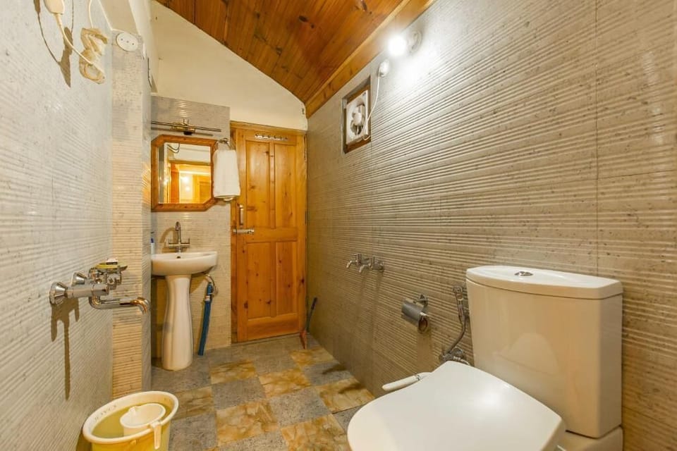 Shower, towels, toilet paper