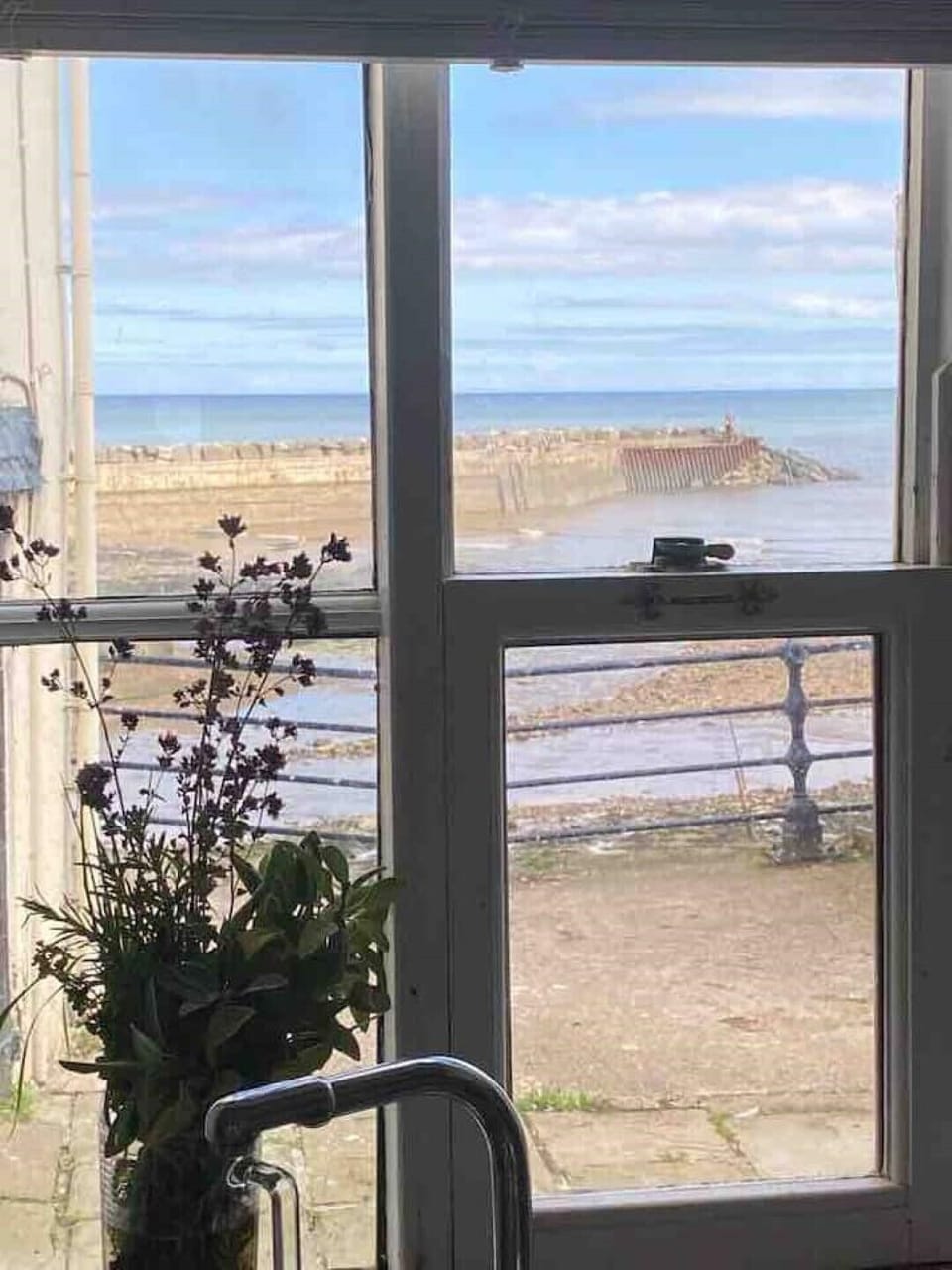 View from the kitchen 