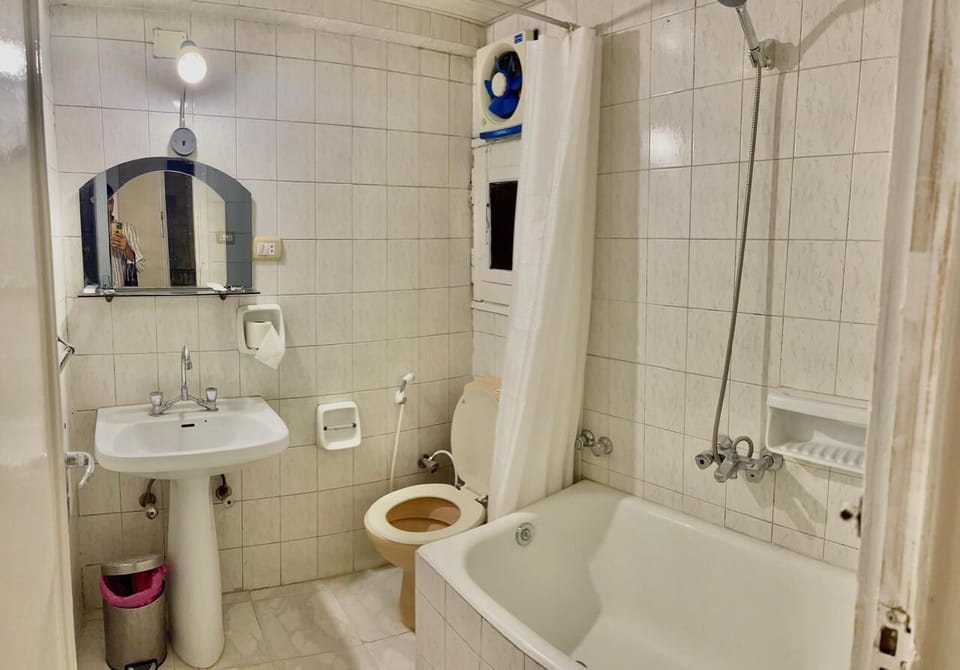 Hair dryer, bidet