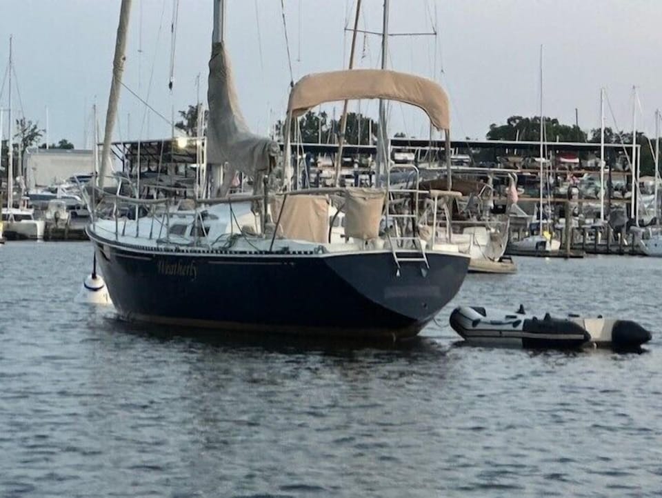 C and C 33 (2)