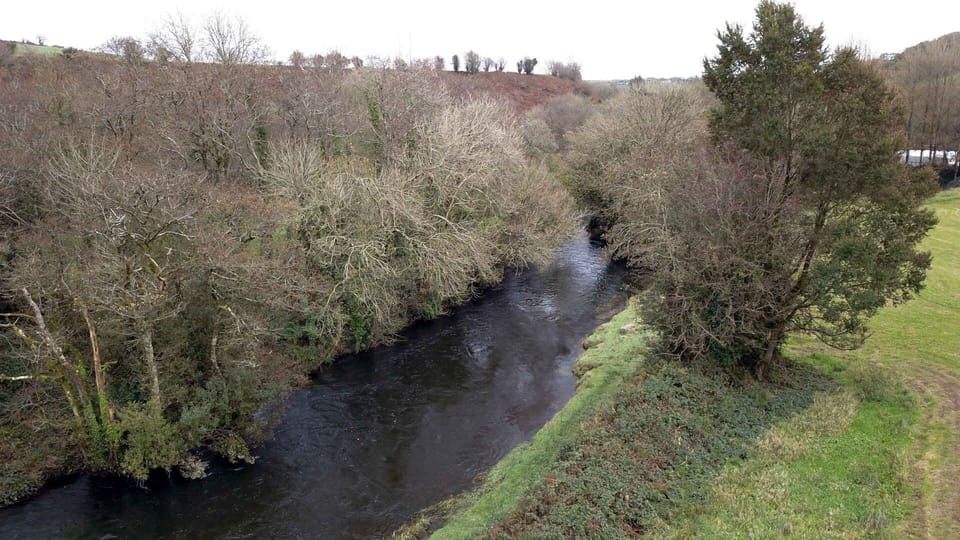 Argideen River at the end of the garden