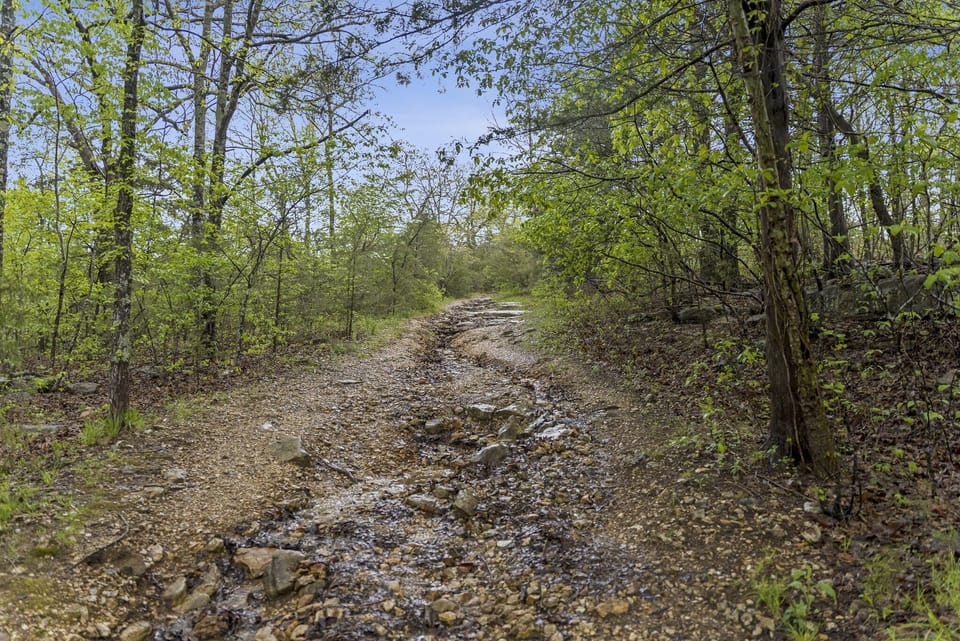 Follow the trail to the lake for a scenic adventure surrounded by nature's beauty.