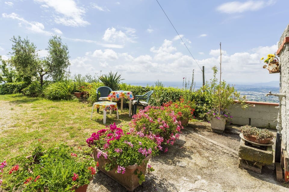 Autumn, Garden, Spring, Summer