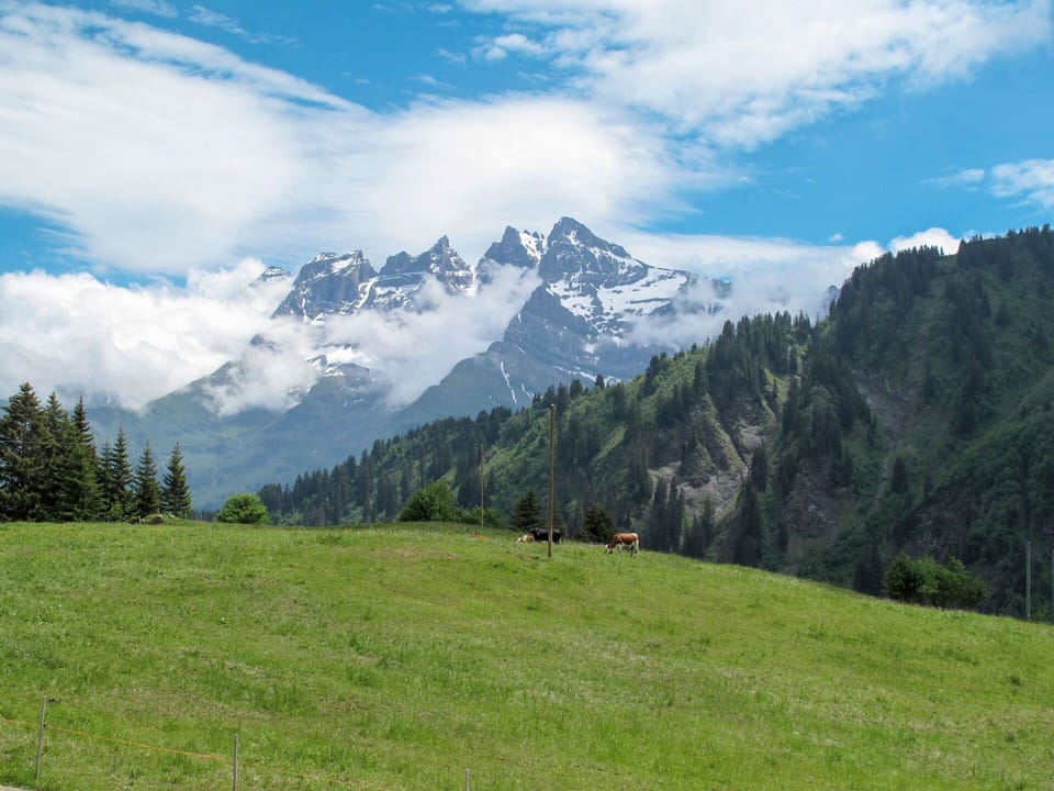 Cloud, Sky, Mountain, Plant, Ecoregion, Natural Landscape, Vegetation, Larch, Slope, Tree
