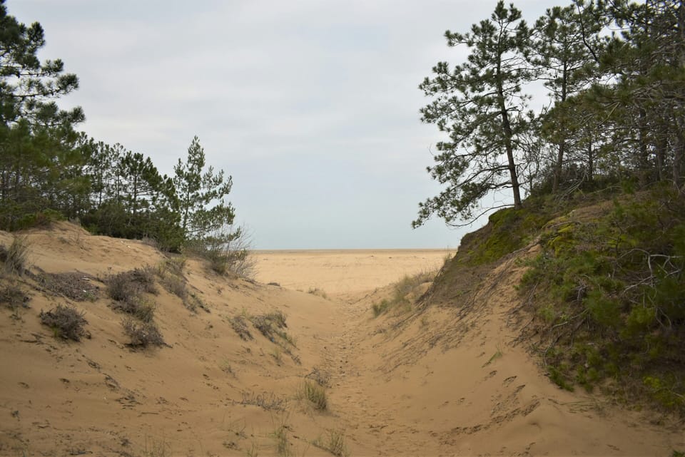 Beach
