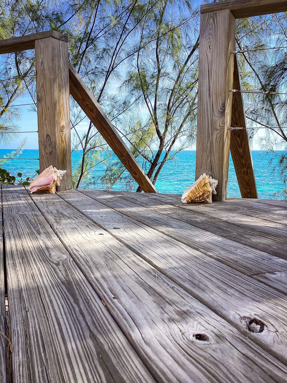View from deck.