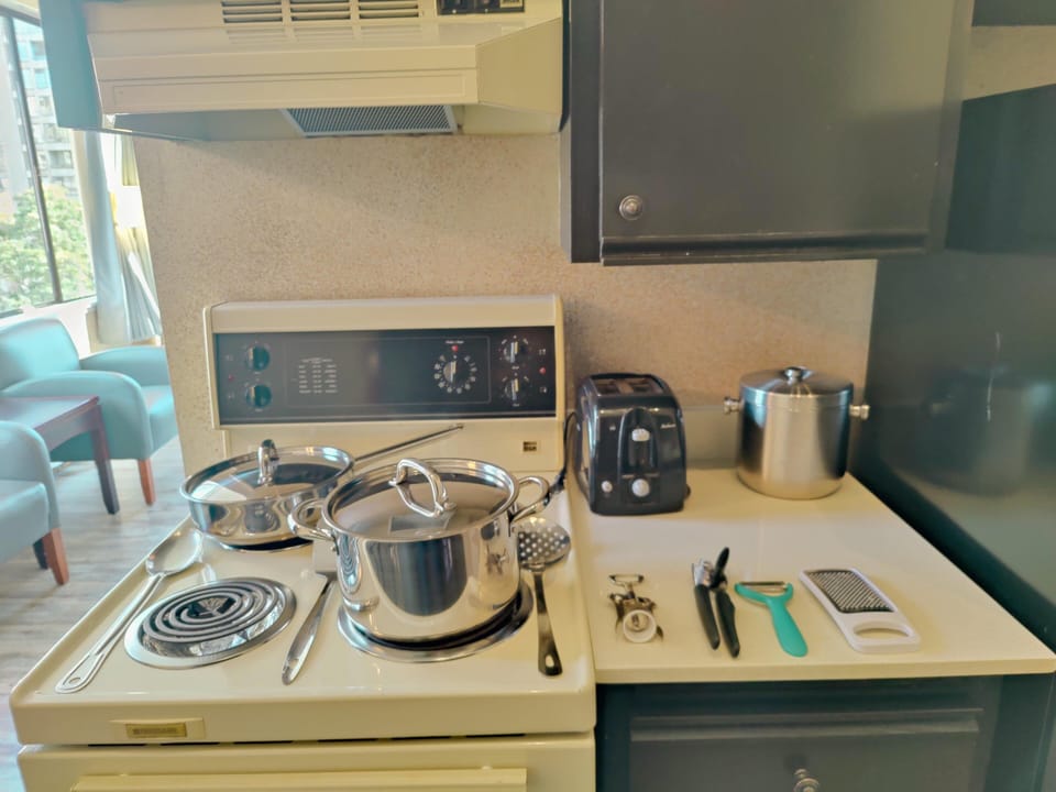 One Bedroom Apartment with Robson View image 6
