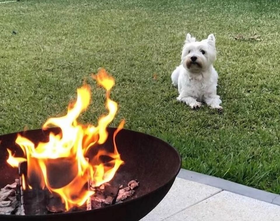 Enjoy our fire pit and barbecue in private field ! 