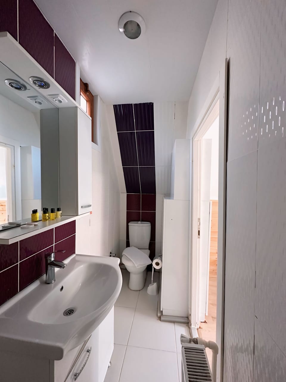 Free toiletries, hair dryer, slippers