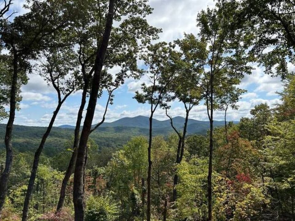 The view is unbeatable" -Ben July  2025