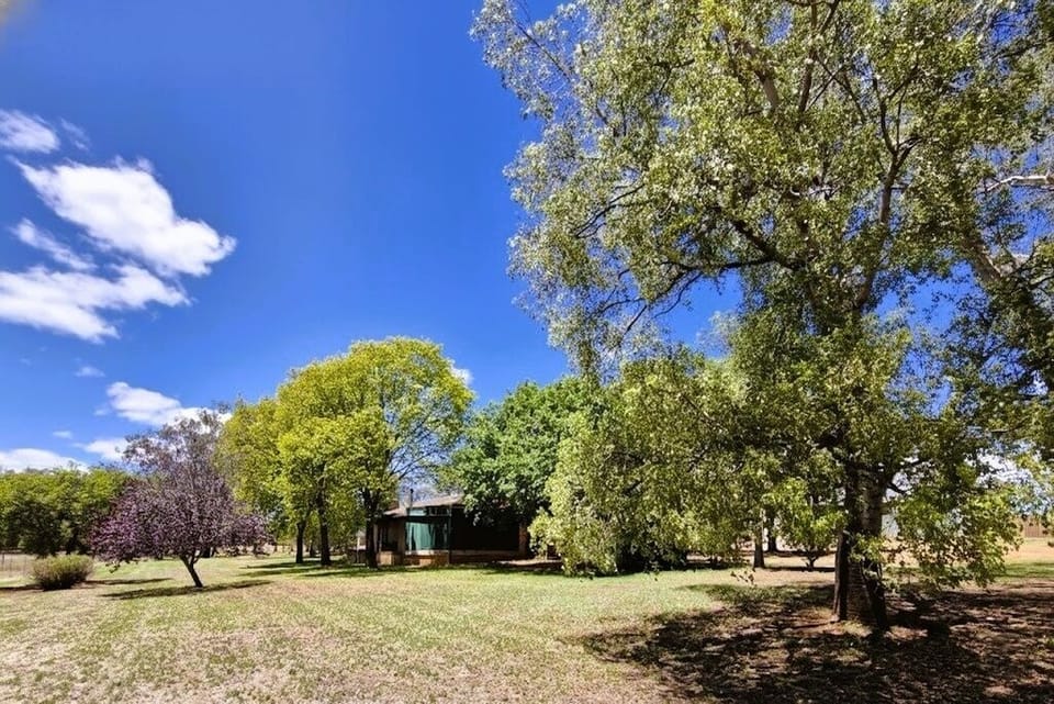 Spring view 