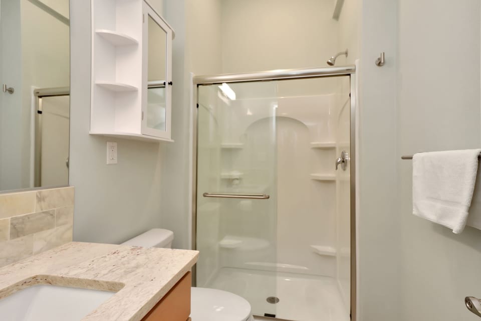 Dolphin Daze - Full Bath Shower